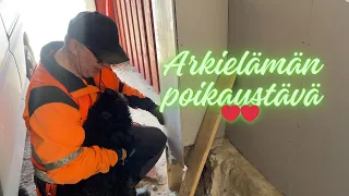 Arkielämän poikaystävä | Touhua ja tohinaa