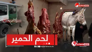 #شاهد .. الدرك الوطني يداهم مذبحا سريّا يتم فيه نـ..حــ ر دواب و أحمرة و أحصنة 😱😱