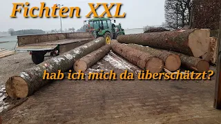 Fichten XXL - hab ich mich da überschätzt?