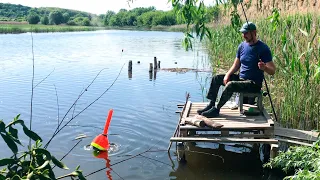 ЗАБРОСИЛ ПОД ДЕРЕВО, а ОН УТЯНУЛ ПОПЛАВОК... Нашли лесной пруд. Рыбалка на поплавок в 2021