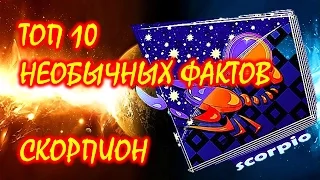 ТОП 10 необычных фактов о Знаке Зодиака Скорпион