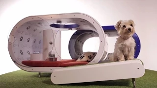 Samsung представил умный дом для собак за $30.000