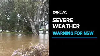 Heavy rain to hit already flooded parts of central and western NSW | ABC News