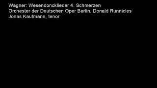 Richard Wagner  Wesendonck Lieder  No  4 Schmerzen