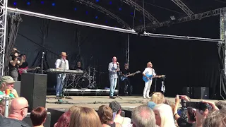 Bee Gees Tribute Band- Massachusetts