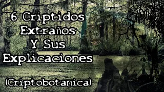 6 Criptidos Extraños (Y Sus Explicaciones) - Edición: Horror Botánico