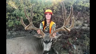 "UNBELIEVABLE” - 207" Mule Deer High Country Hunt