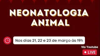 Miniciclo Neonatologia Animal - Neonatologia de Pequenos Animais