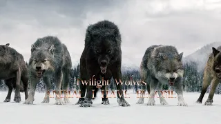 Twilight Wolves - Animal I have become