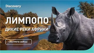 Лимпопо  |  Дикие реки Африки  - Discovery Документальный фильм.