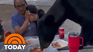 Mom protects son with special needs during black bear encounter