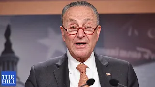 Chuck Schumer introduces judicial nominee at Senate hearing