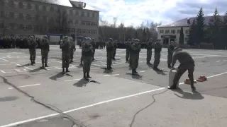 106-я гвардейская дивизия ВДВ Тула 25.04.2015г.