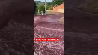 У Португалії, в муніципалітеті Анадія вибухнули два резервуари з вином на місцевому заводі Levira