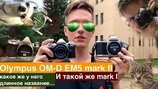 Обзор Olympus OM-D em5 markII и сравнение с Mark1 (моя замена Canon 77D)