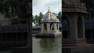 Vaitheeswaran Koil Koneru #templesofindia #tamilnadu