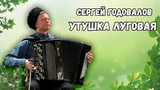 Утушка луговая. Сергей Годовалов, казачий ансамбль Атаман