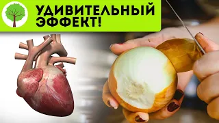 Пей этот отвар и сердце будет как в 20! Луковый отвар растворит ангину, простатит и даже …