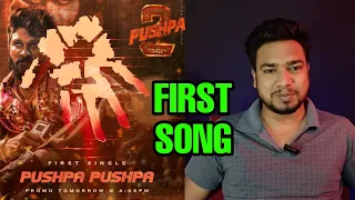 Pushpa Pushpa Song Pushpa 2 | Pushpa 2 The Rule | Allu Arjun | Rashmika M | Pushpa 2 First Single