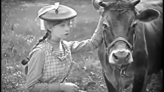 True Heart Susie-1919-Lilian Gish- One of D. W. Griffith's better films-A fine and complex