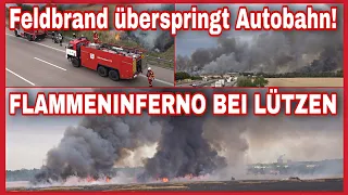 🔥FEUER Chaos an der AUTOBAHN🔥Feldbrand außer Kontrolle⚠️Flammen Übersprung❌️Feuerwehr🚒AKUTE GEFAHR🆘️