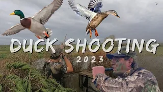 Duck Shooting 2023