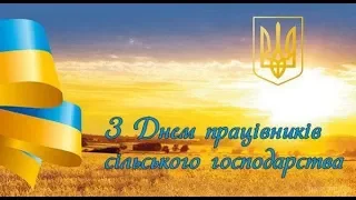 Концерт до дня працівника сільського гоподарства смт Стара Синява 2018