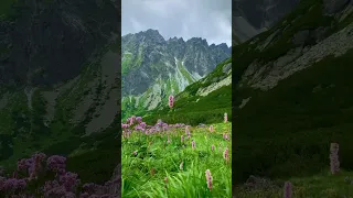 The high Tatra mountains of Slovakia 🇸🇰