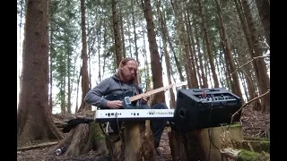 Tall Trees |  synthesiser drones, ambient guitar and birdsong in a longform forest improvisation :)