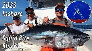 2023 NJ Inshore Squid Bite Bluefin | How To Catch Them