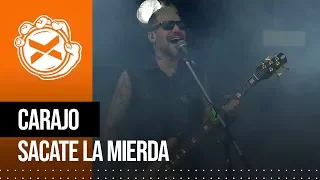 Carajo - Sacate la Mierda (en vivo en COSQUIN ROCK 2019)