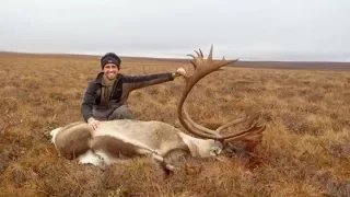 ACTION PACKED! - DIY Alaskan Caribou hunt | S2E03 | Limitless Outdoors