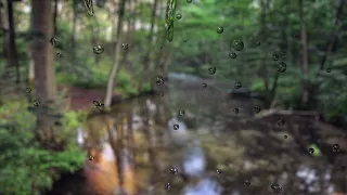 rain drop sound  for sleeping, insomnia, relax, meditation