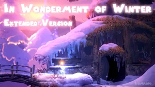 Baur's Reach: In Wonderment of Winter EXTENDED VERSION - Ori and the Will of the Wisps