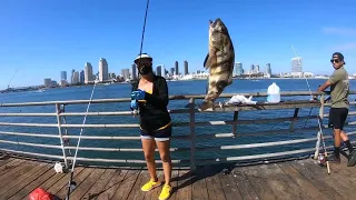 Catching A Ton Of Mackerel At The Coronado Pier San Diego! Fish With Me!