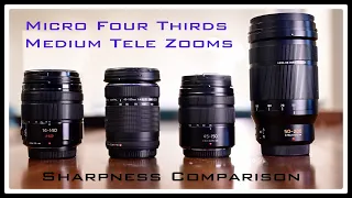 Micro Four Thirds: Panasonic Leica 50-200 / Cheap Medium Telephoto Zoom Comparison