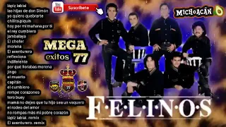 MegaMix Exitos 🦁 Los Felinos 🦁(Los tienes que oir) 🎶