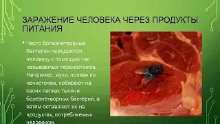 Молоко, творог, костная мука ЗАРАЖЕНЫ ВИРУСАМИ, низкими ЭНЕРГИЯМИ / Фролов Ю.А. и Бутакова О.А.