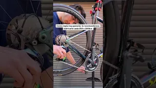 ¿Cada cuanto tiempo tengo que lubricar la cadena de mi bici?