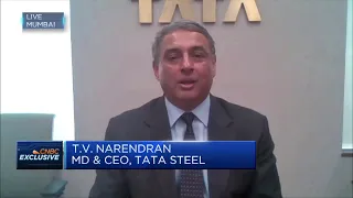 Tata Steel CEO discusses the merger of subsidiaries