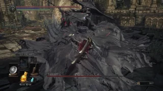 Dark Souls 3 Crystal Sage Parry Fastkill [NG+7,NO DAMAGE]