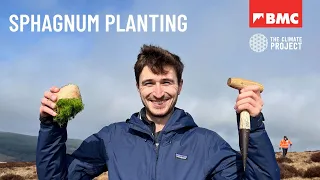 What is does sphagnum planting look like? | Get Stuck In