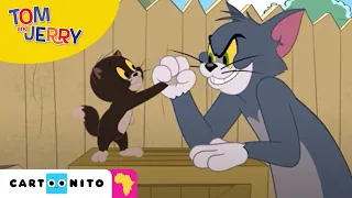 Tom and Jerry: Workout or Stop | Cartoonito Africa