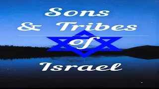 Sons and Tribes of Israel #shorts #israel #torah #bible #hebrews