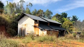 We Bought A 100-Year-Old House For $50 And Completely Transformed it ~ Built a Wooden Shelter