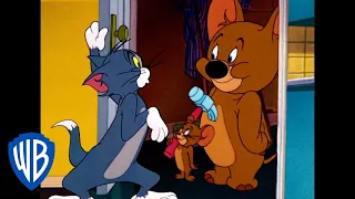 Tom y Jerry en Latino | ¡Atrápame si puedes, gato! | WB Kids