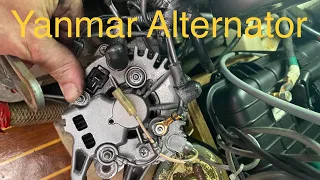 Yanmar Alternator - Dave the MMP