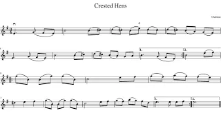 Crested Hens, Violin