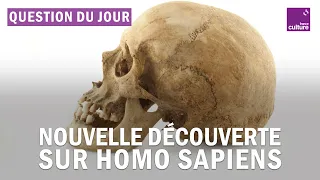 Comment une dent de lait peut-elle modifier notre regard sur l'histoire d'Homo Sapiens ?