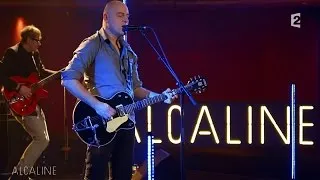 Alcaline, le Mag : Dominique A - Éléor en live